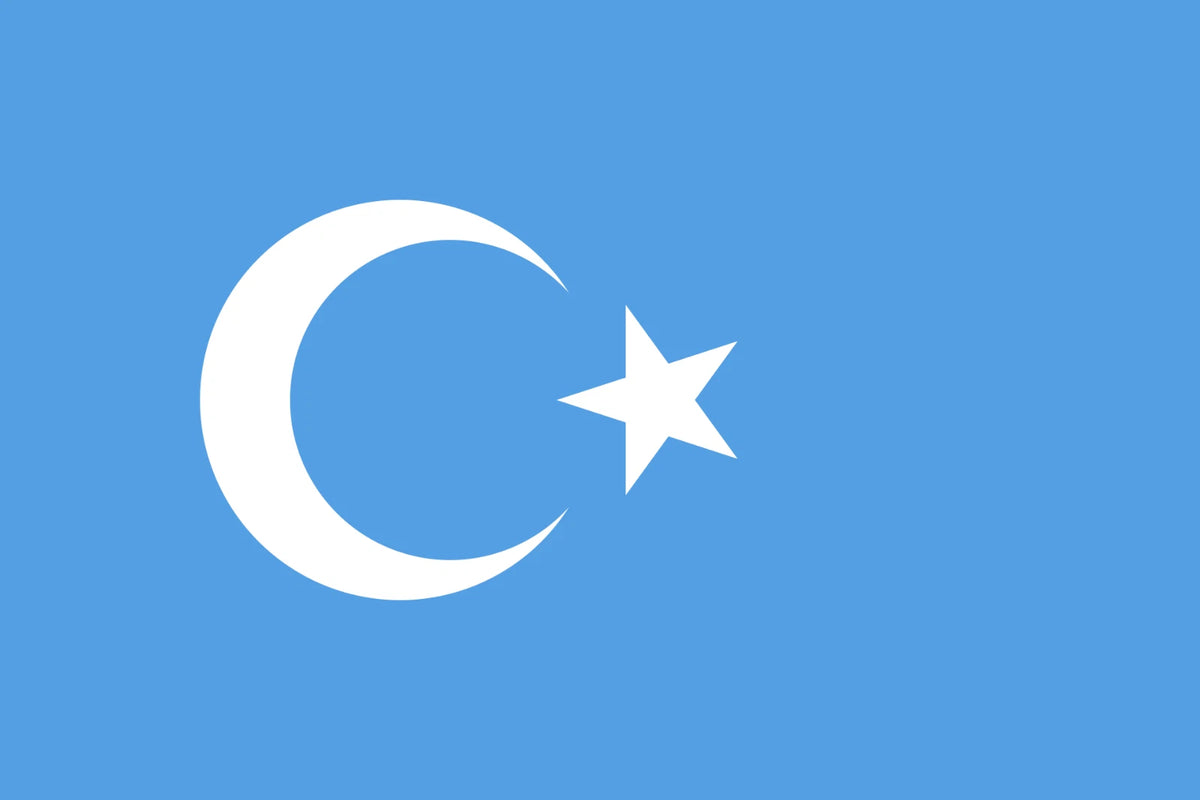Drapeau ouïghour Kokbayraq