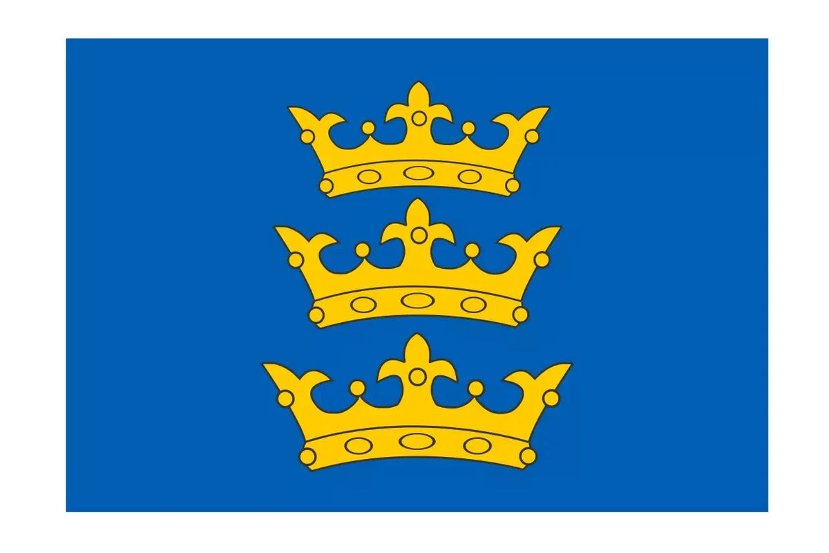 Bandera de Lordship of Irlanda