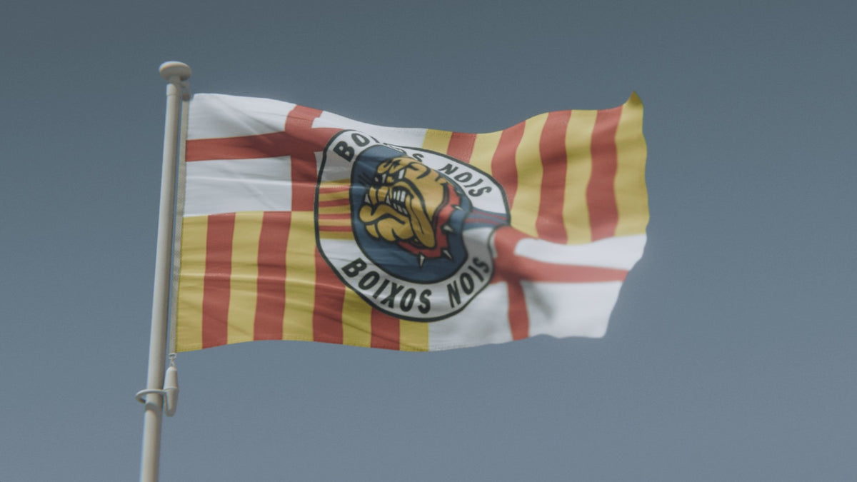 Drapeau Boixos Nois