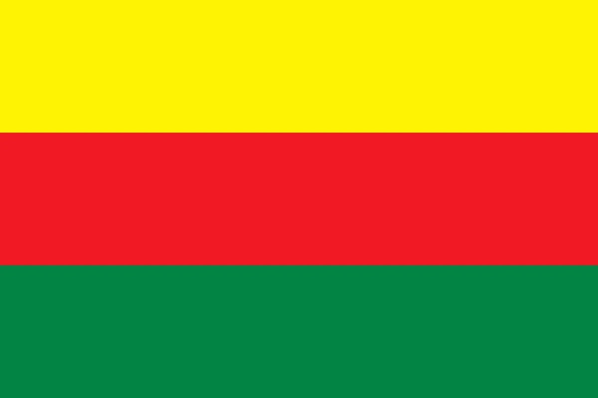 Bandera de TEV-DEM Tricolor