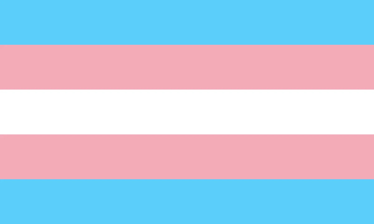 Drapeau des fiertés trans — Monica Helms 1999