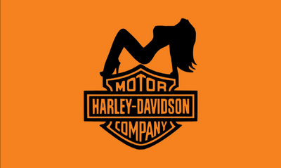 Harley-Davidson Flag