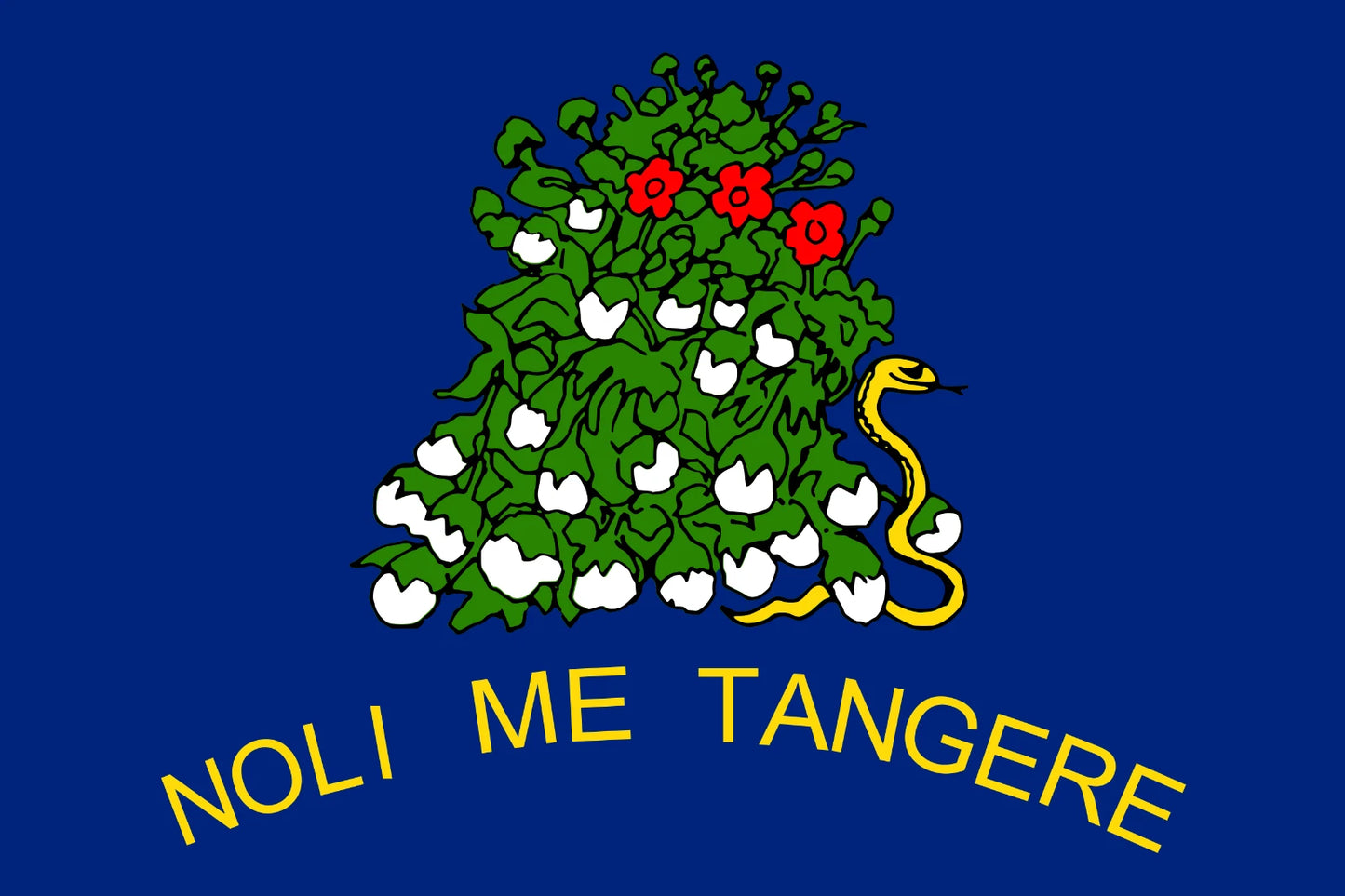 Alabama Secession Convention Flag (1861) Reverse