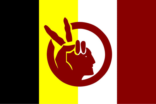 American Indian Movement AIM Flag