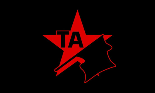 Anarchist Solidarity Flag