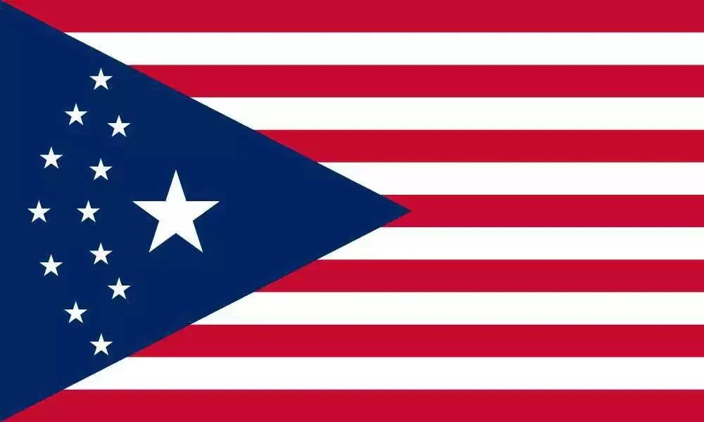 Cyberpunk USA Flag