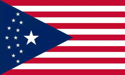 Cyberpunk USA Flag