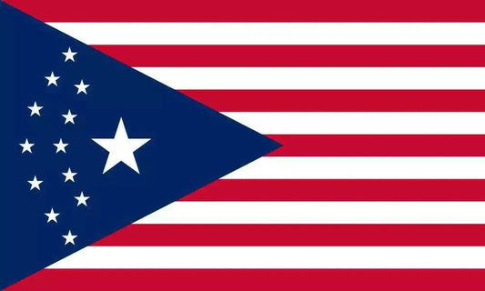 Cyberpunk USA Flag