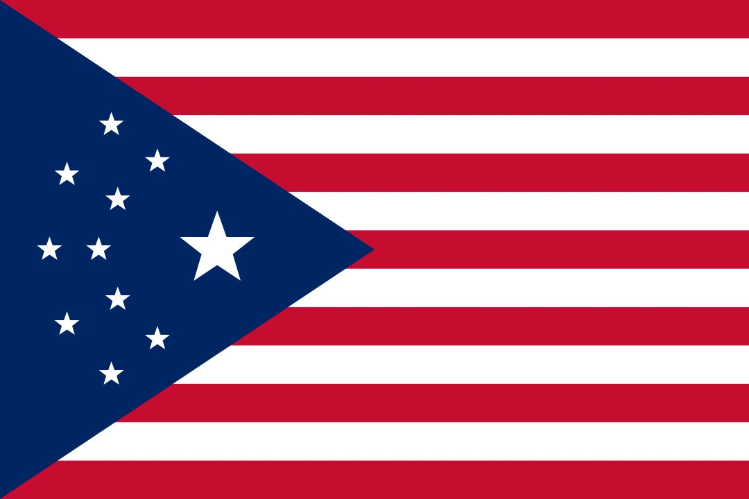 Cyberpunk USA Flag