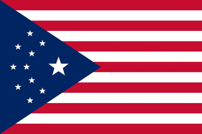 Cyberpunk USA Flag