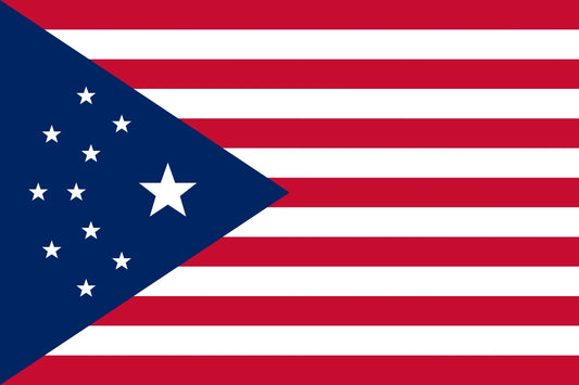 Cyberpunk USA Flag