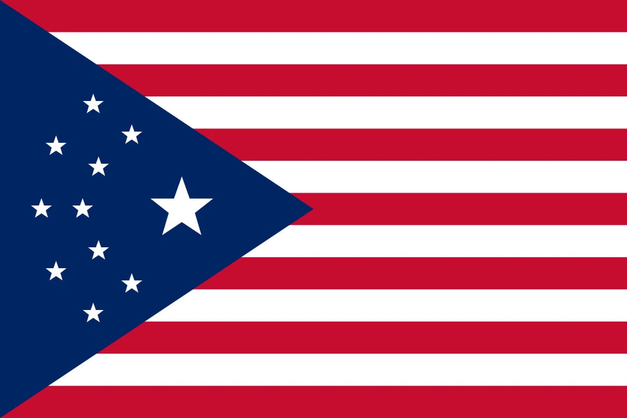 Drapeau des États-Unis Cyberpunk