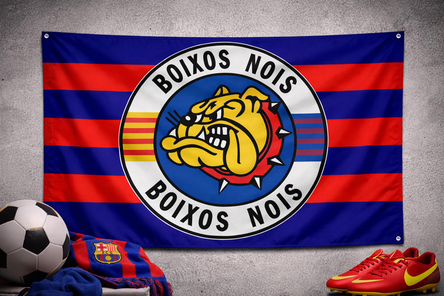Boixos Nois Flag