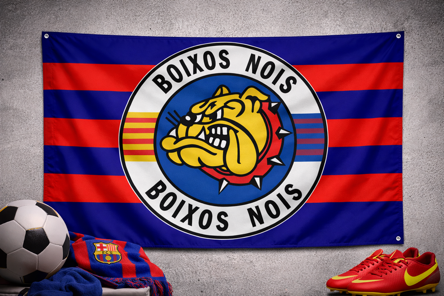 Drapeau Boixos Nois