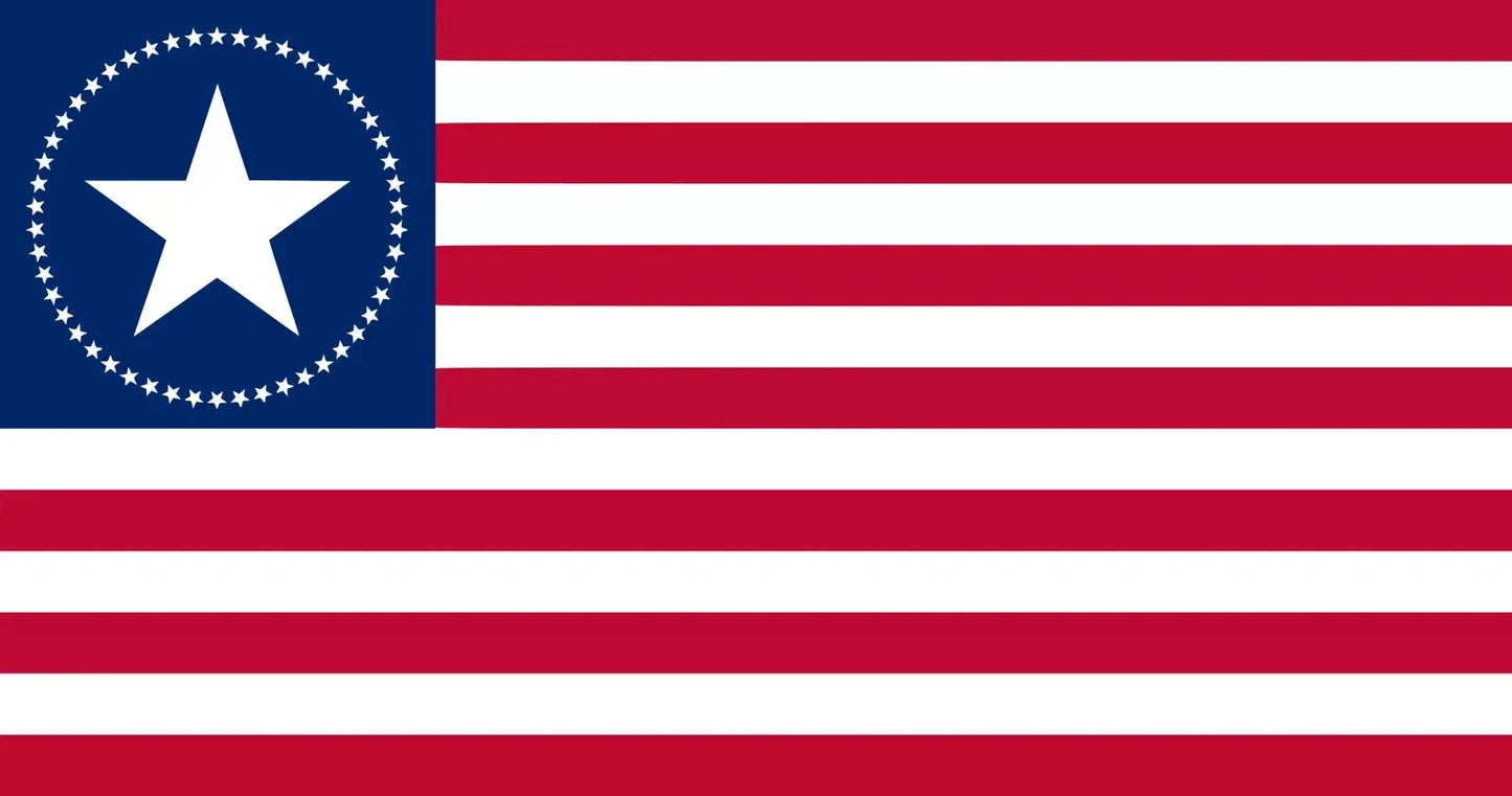 Fallout-Inspired USA Flag