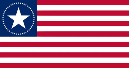 Fallout-Inspired USA Flag