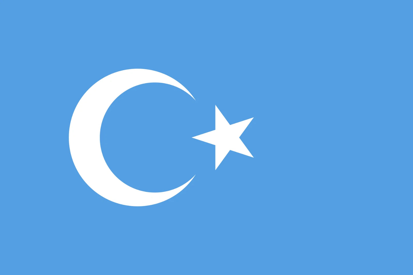 Kokbayraq Uyghur Flag