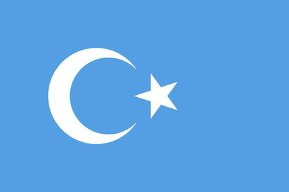 Kokbayraq Uyghur Flag