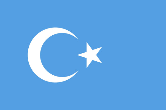 Kokbayraq Uyghur Flag