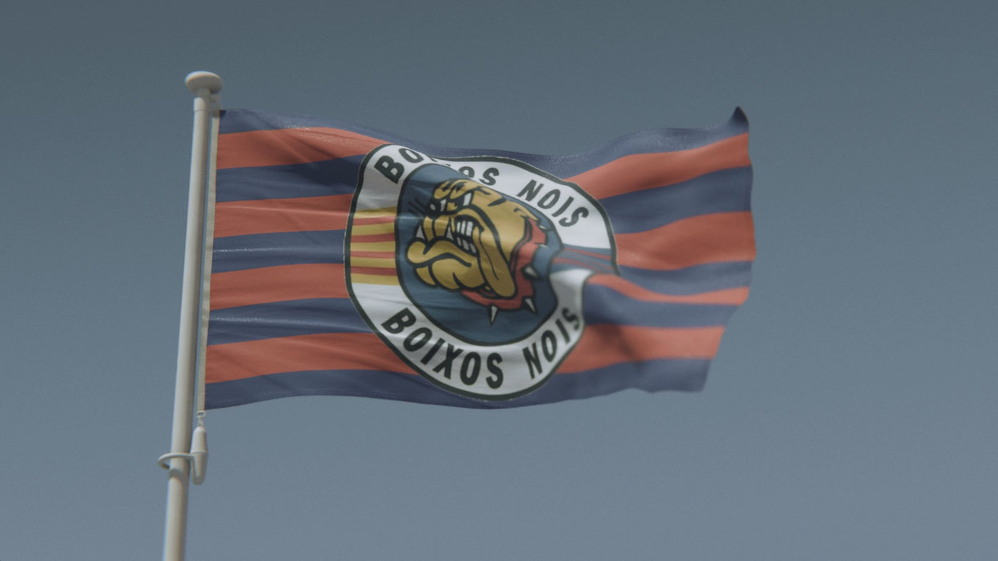 Boixos Nois Flag