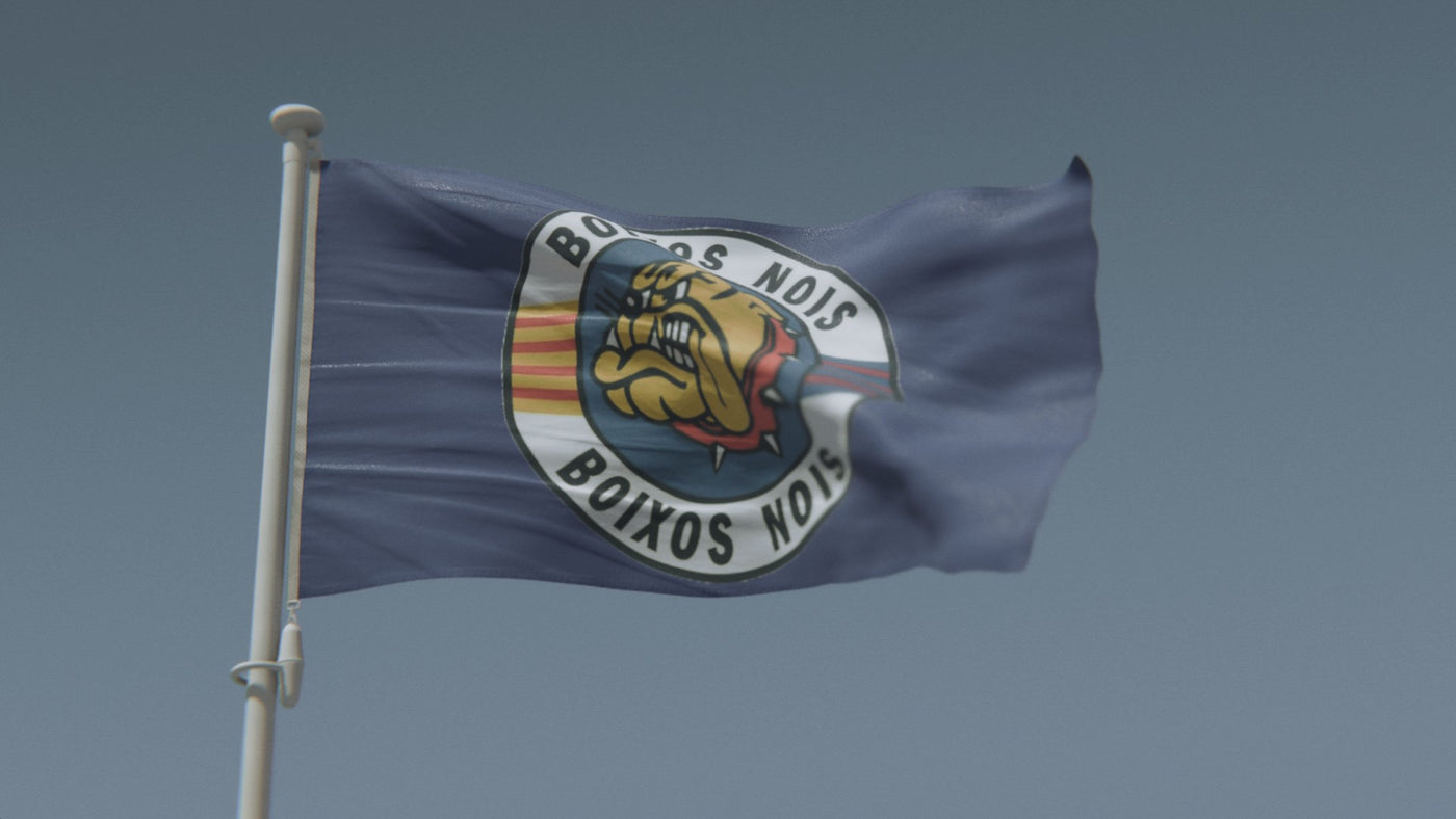 Boixos Nois Flag