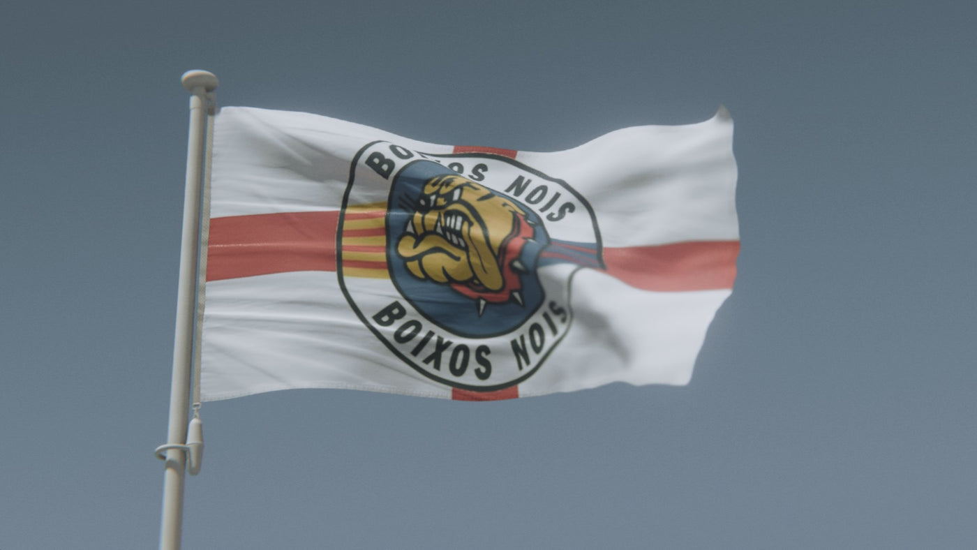 Boixos Nois Flag