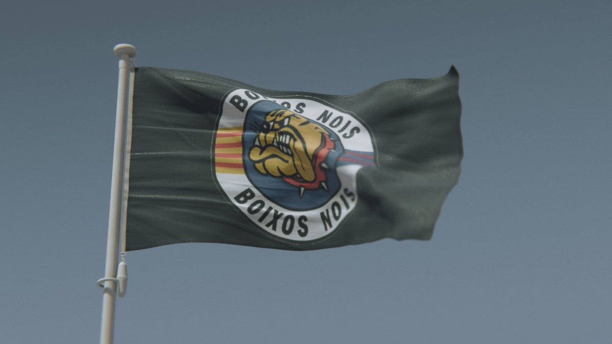 Drapeau Boixos Nois