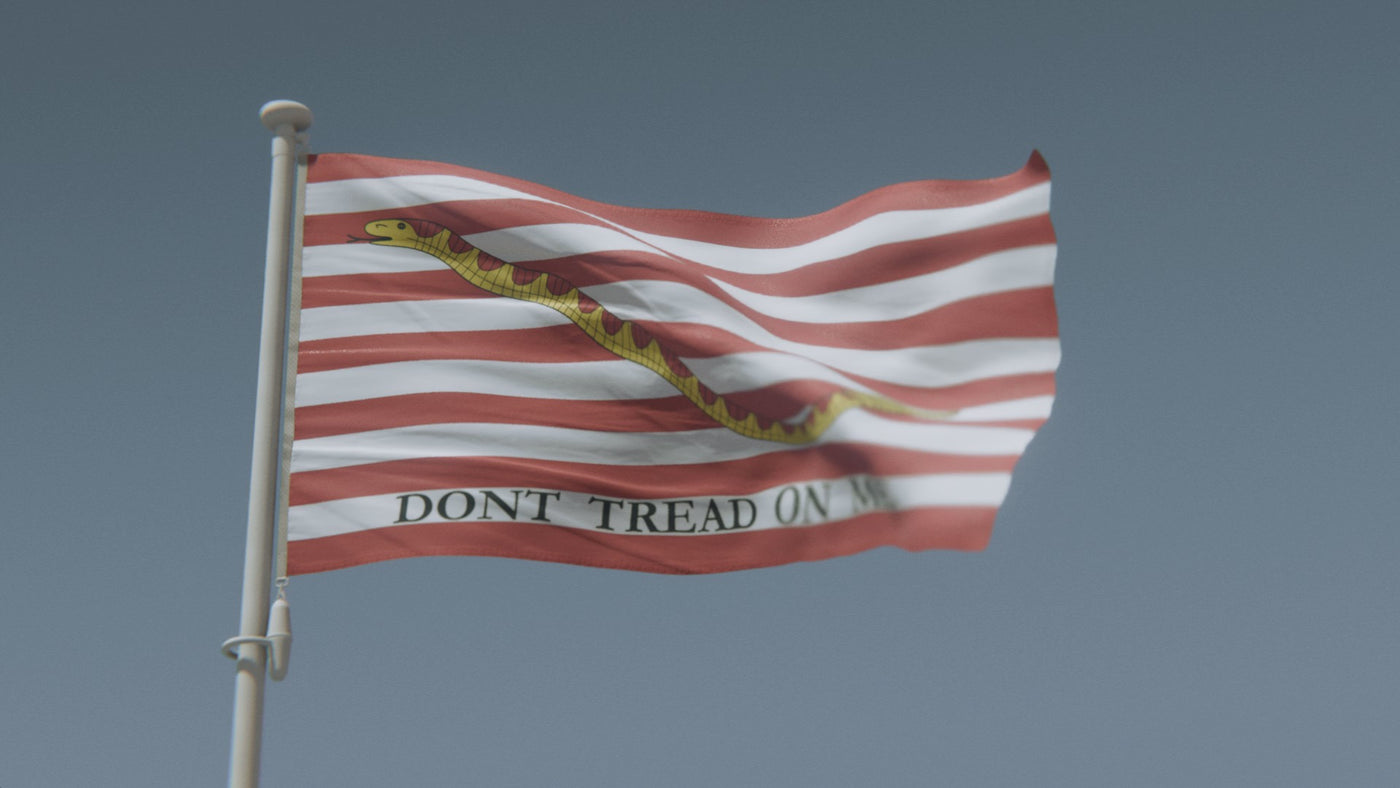 Gadsden Flag “Don’t Tread On Me”