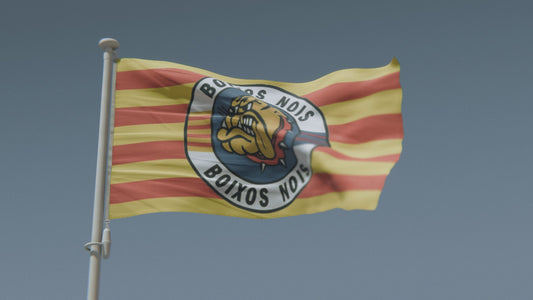 Boixos Nois Flag