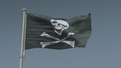 Jolly Roger Pirate Flag