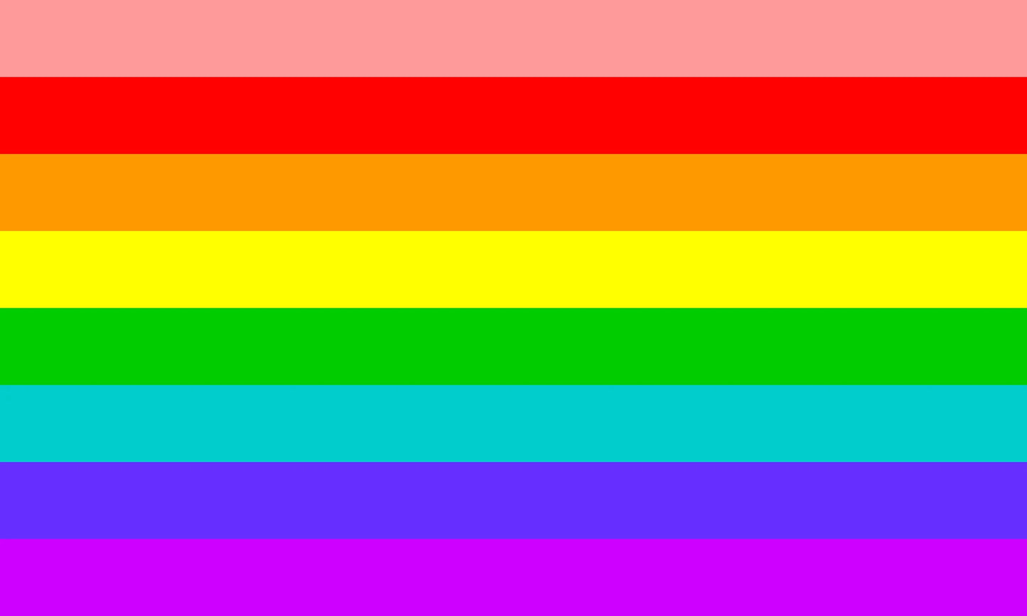 LGBTQ+ flag