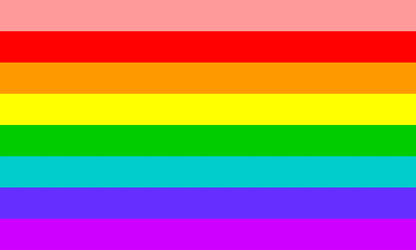 LGBTQ+ flag