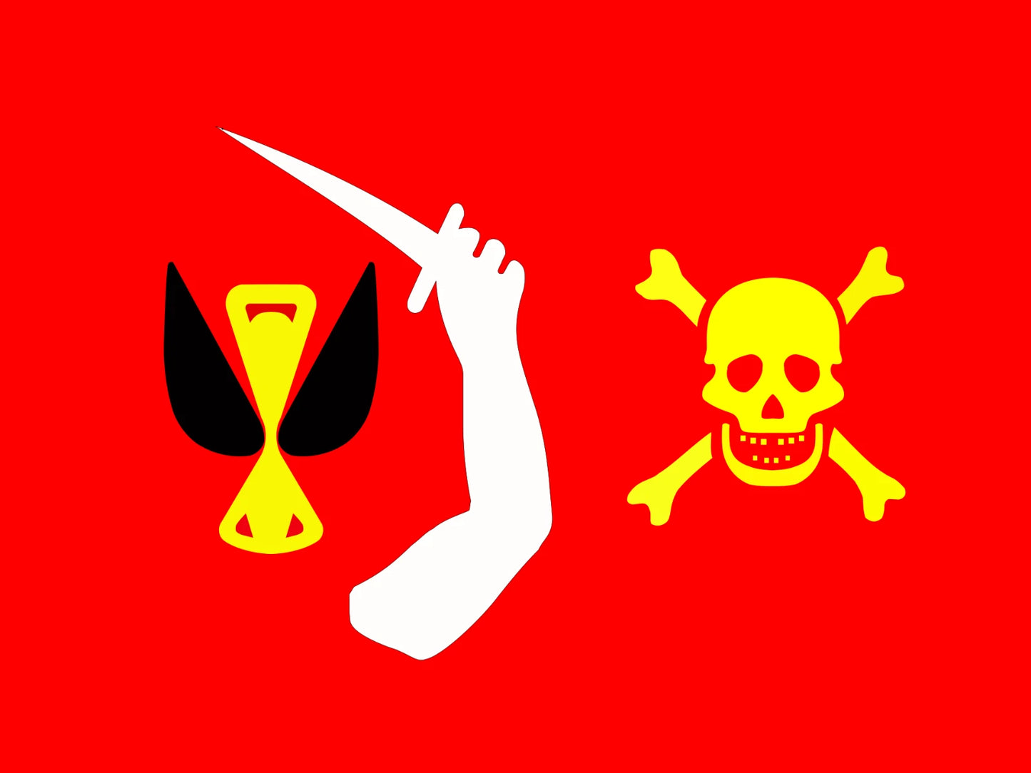 Jolly Roger Pirate Flag