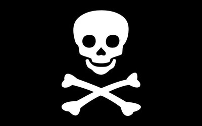 Jolly Roger Pirate Flag