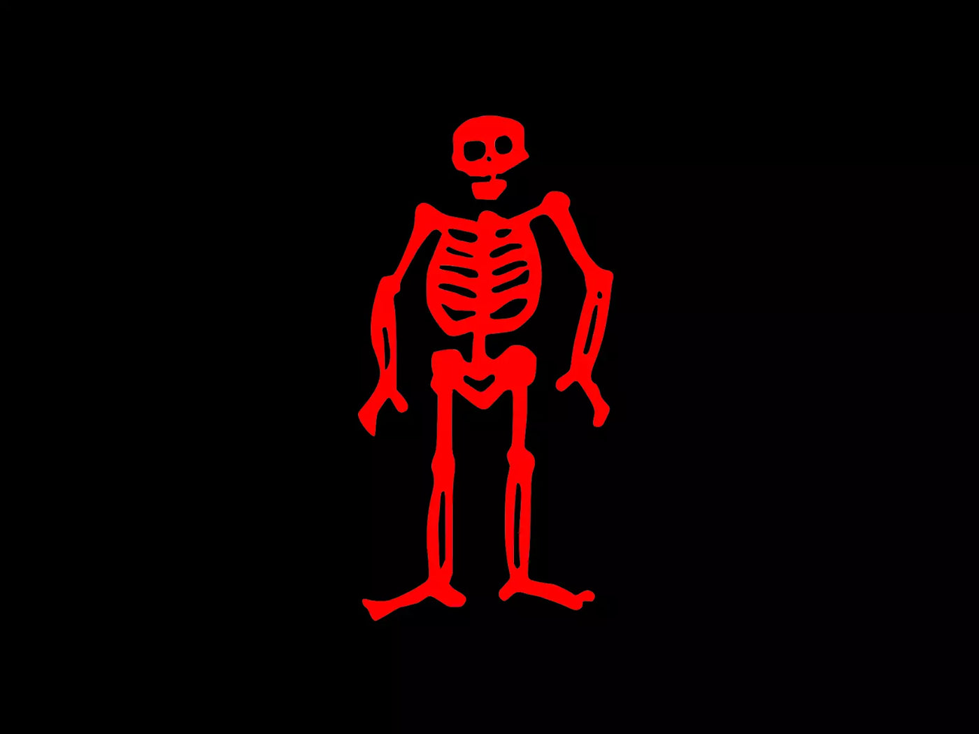 Jolly Roger Pirate Flag