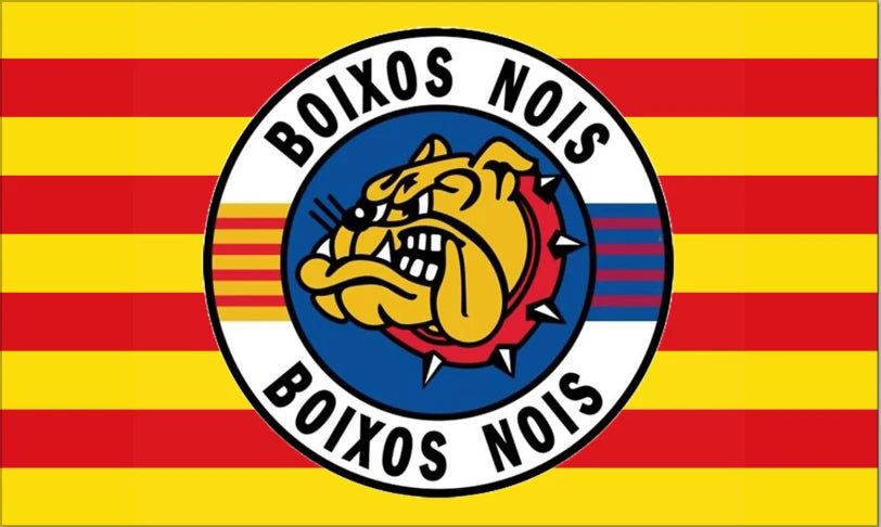 Boixos Nois Flag