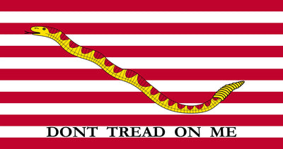 Gadsden Flag “Don’t Tread On Me”