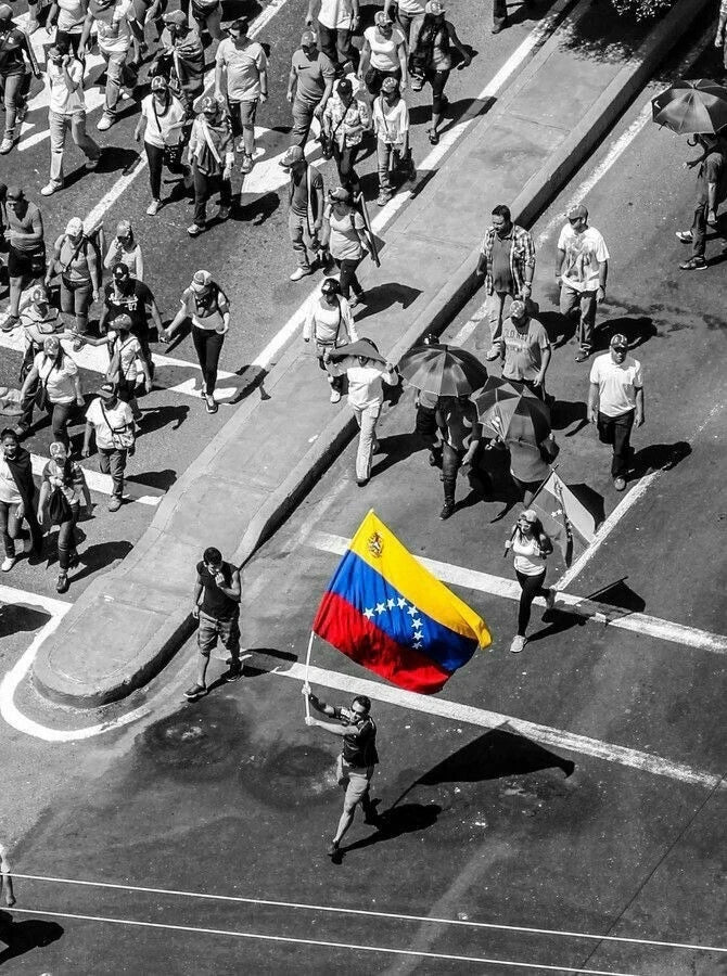 Bandera de Venezuela Libre