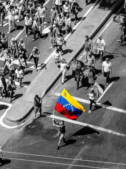 Venezuela Libre Flag