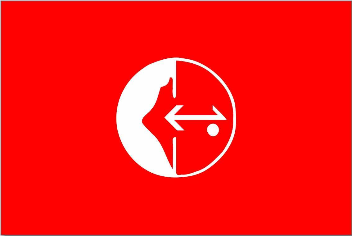 Drapeau de la Palestine