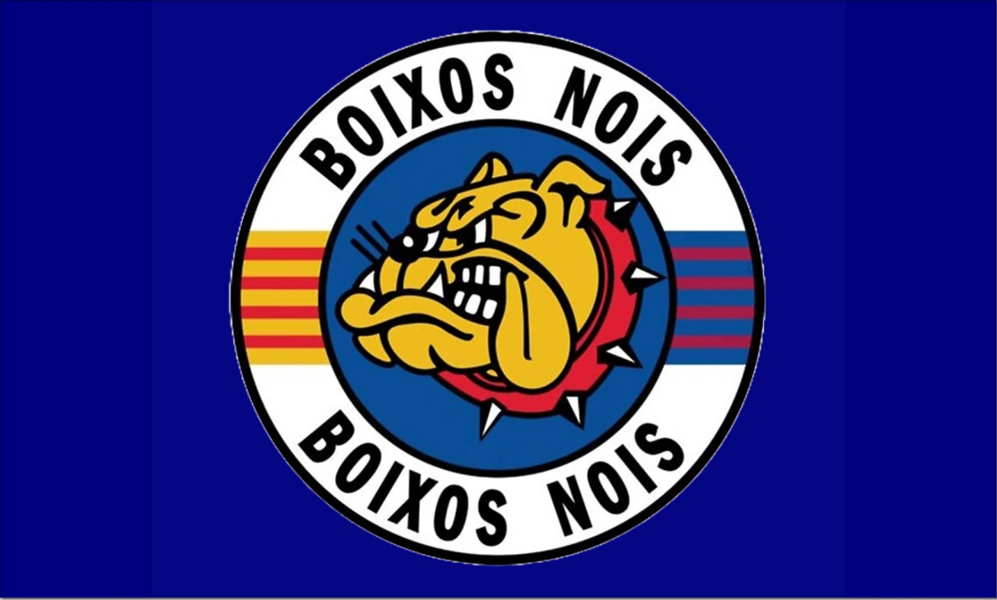 Boixos Nois Flag