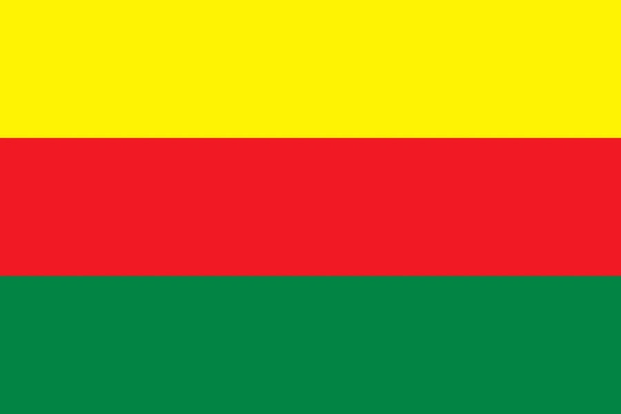 Bandera de TEV-DEM Tricolor