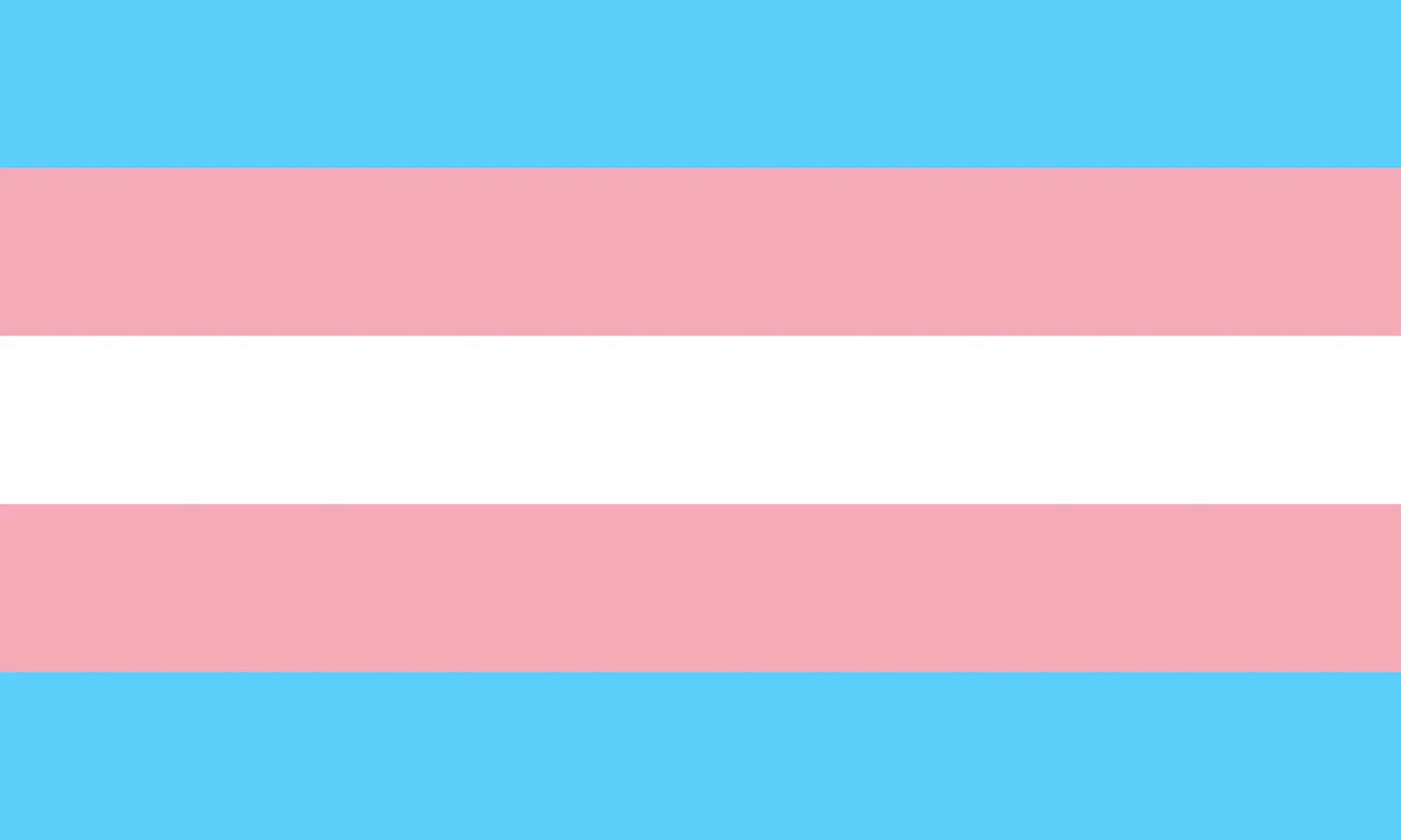 Trans Pride Flag (Monica Helms 1999)