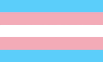 Trans Pride Flag (Monica Helms 1999)