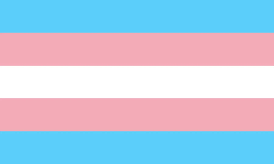 Bandera de Trans Orgullo (Monica Helms 1999)