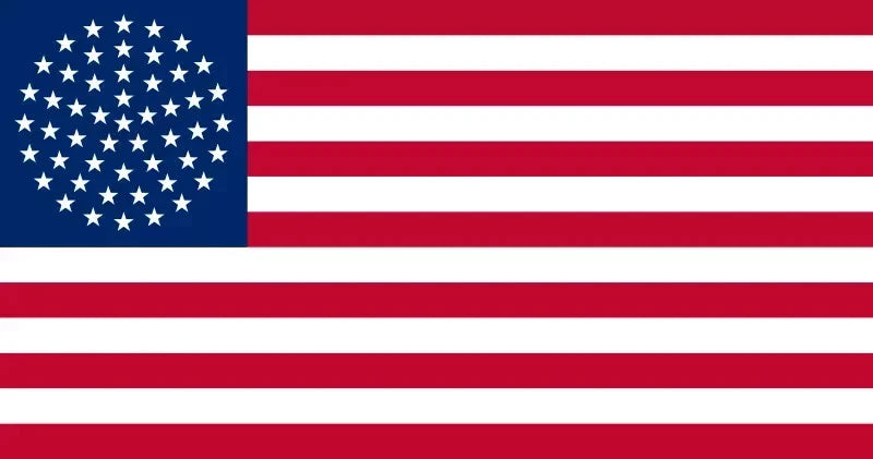 US 51-Star Circle Flag
