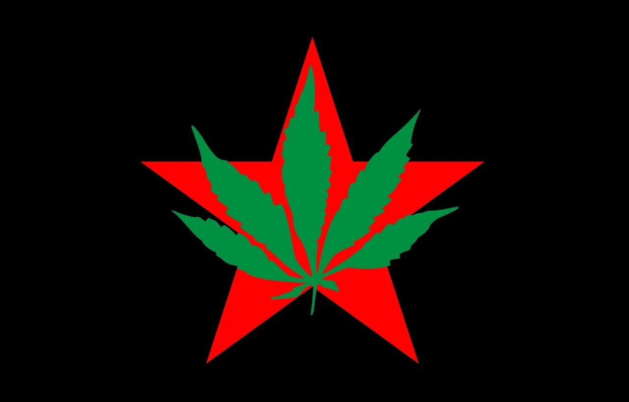 Yippies Flag