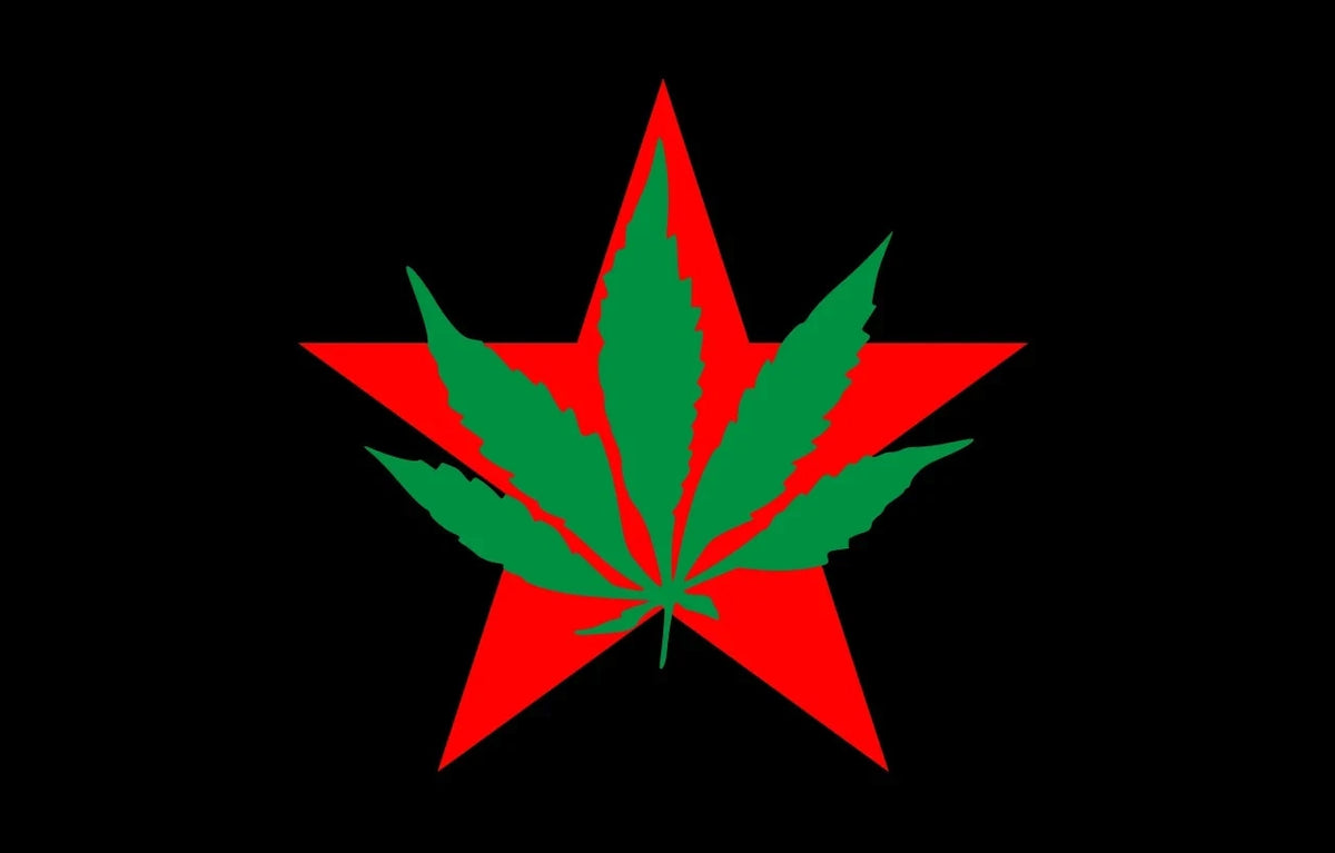 Bandera de Yippies