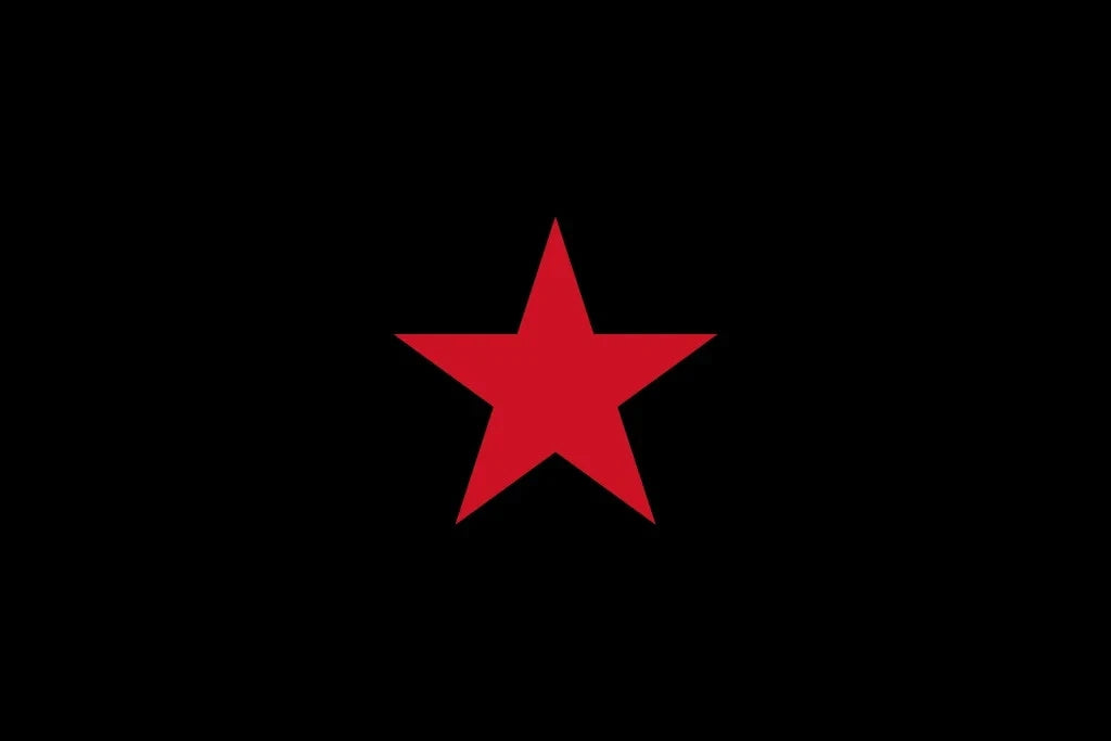 Zapatista Solidarity Flag