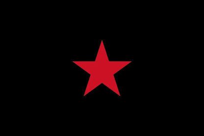 Zapatista Solidarity Flag